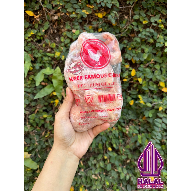 

AYAM PEJANTAN PEKING 0,77kg / SUPER FAMOUS CHICKEN PREMIUM QUALITY