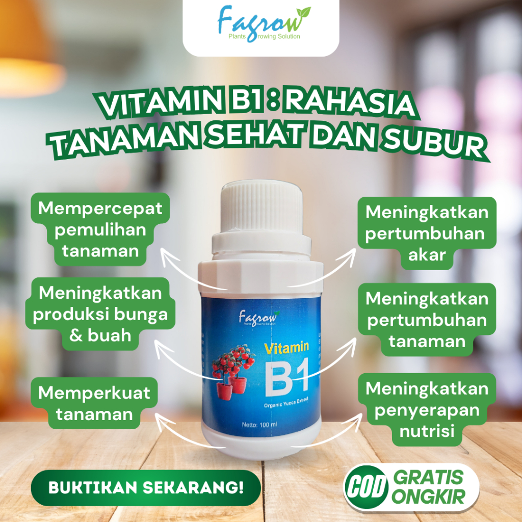 Vitamin B1 Untuk Tanaman - Fagrow
