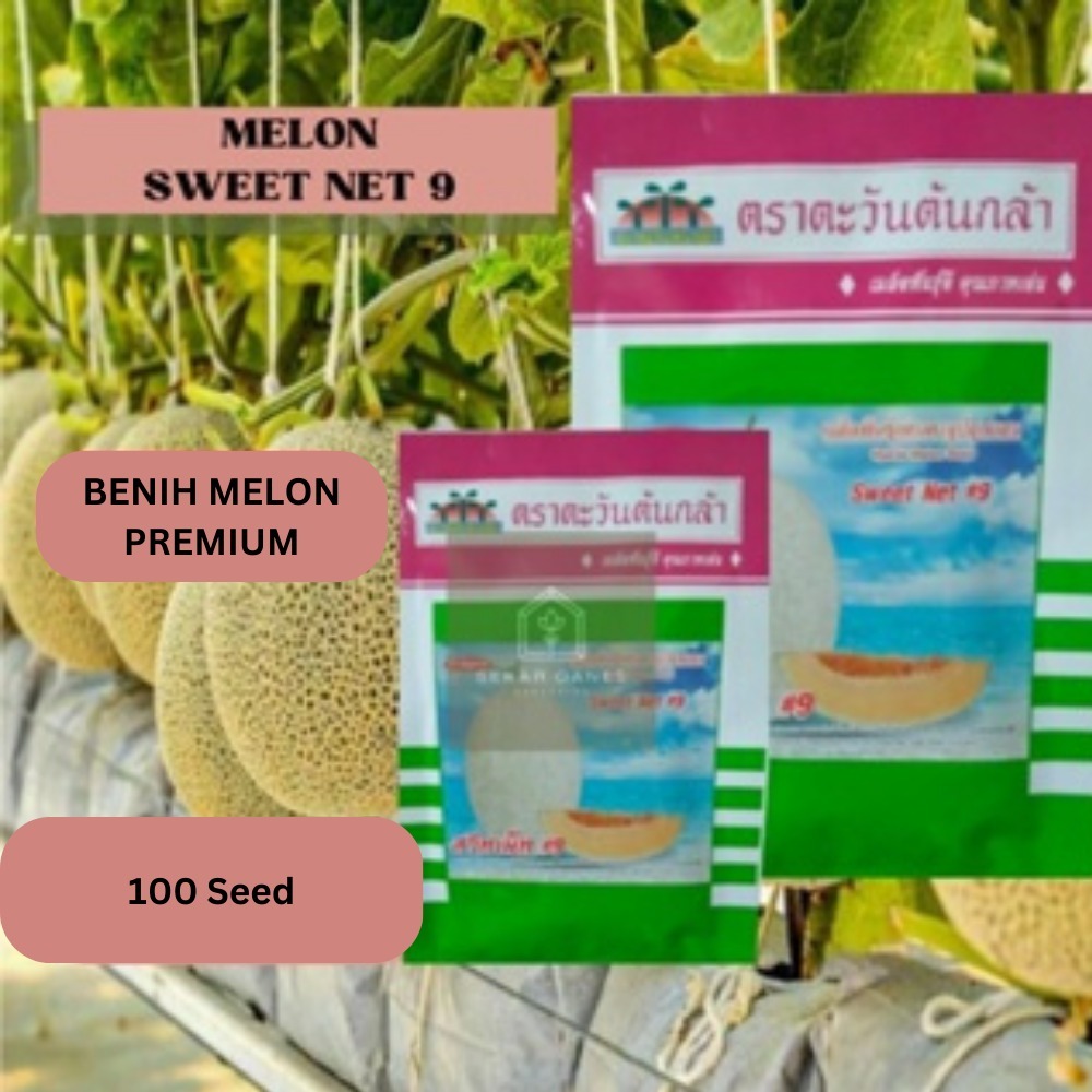 NEW ORi Bijih benih Melon Sweet Net 9 - Repack 100 Bibit Melon Premium
