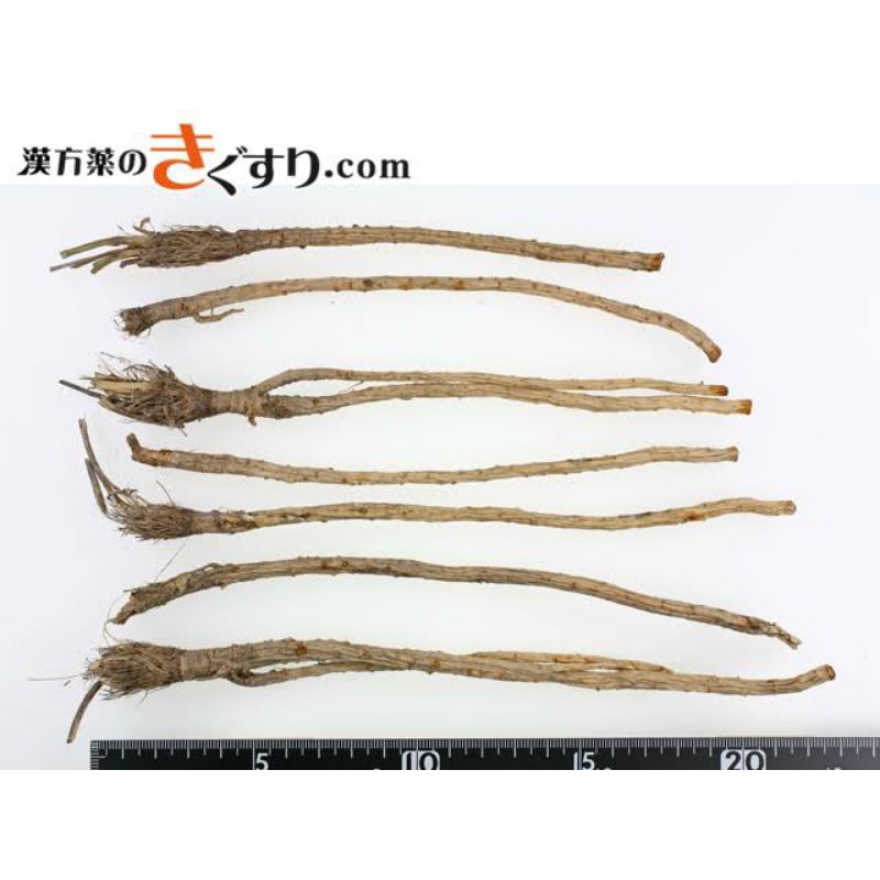 

300 G GR GRAM 防风条 FANG FENG TIAO SILER ROOT