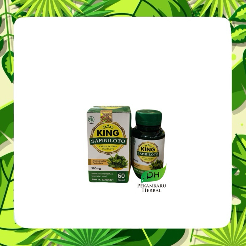 king sambiloto kapsul ekstrak sambiloto 60kapsul