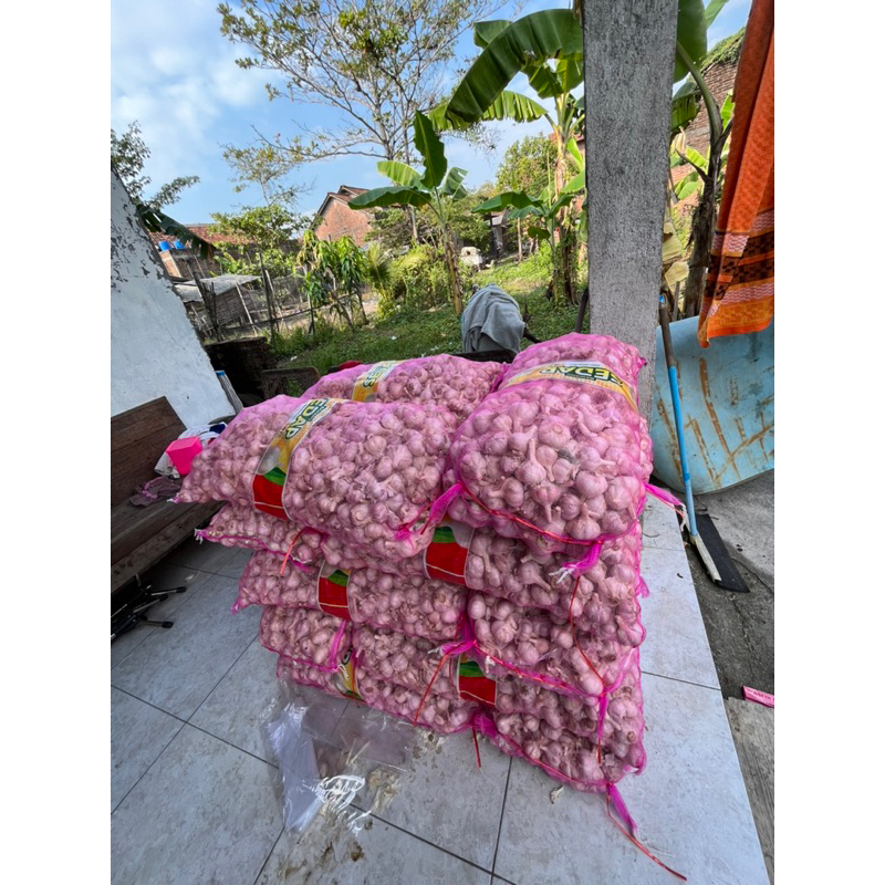 

bawang putih kating 1 karung isi bersih 20kg(belum kupasan)