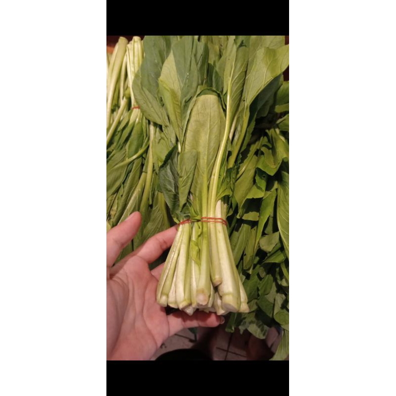 

sawi kota/sawi fresh pak sr 500gram