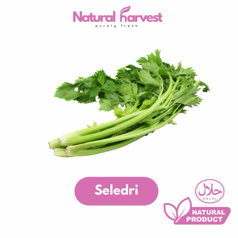 

Seledri Super Fresh 100gr | NaturalHarvest!