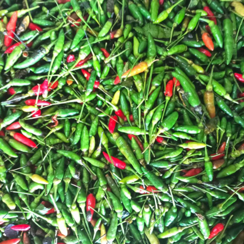 

CabeRawitLampung/900g