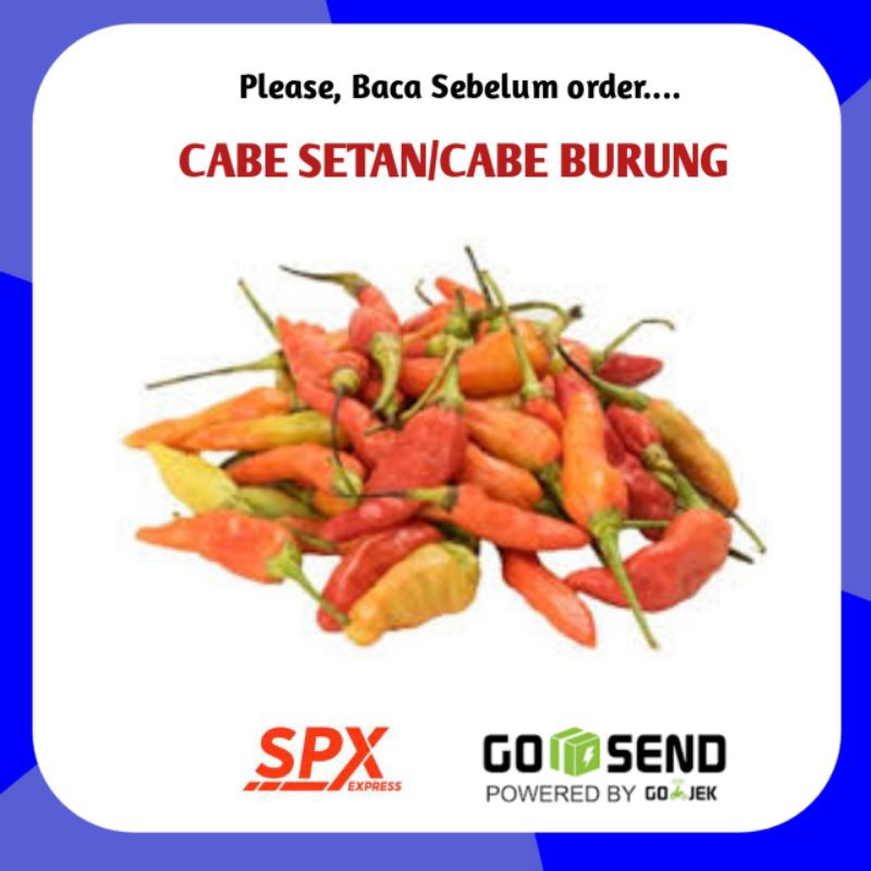 

Cabe Burung Fresh 250gram - Pasar Agen Toko Sayur Segar Palembang