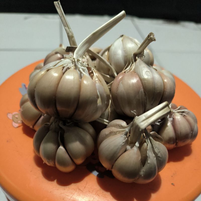 

bawang putih segar