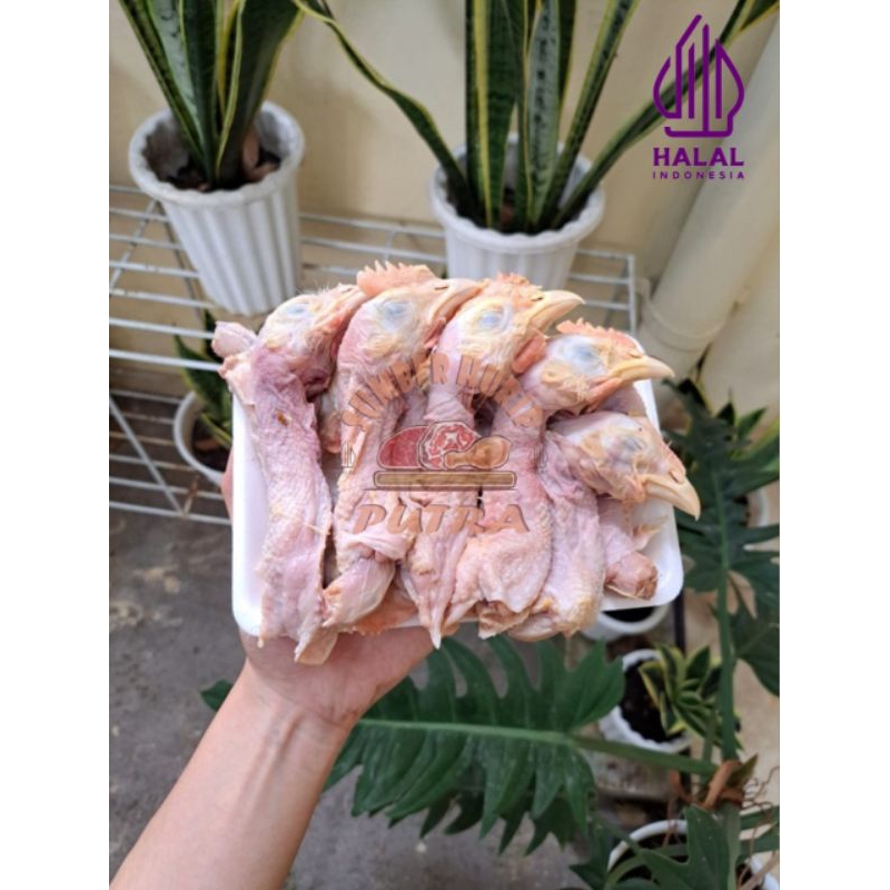 

Kepala Ayam Termurah Bandung 500gram