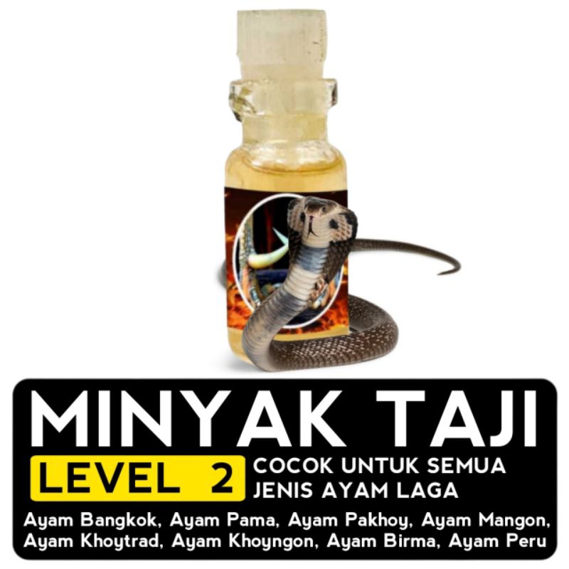 doping jamu ayam Bangkok racun Jalu minyak taji