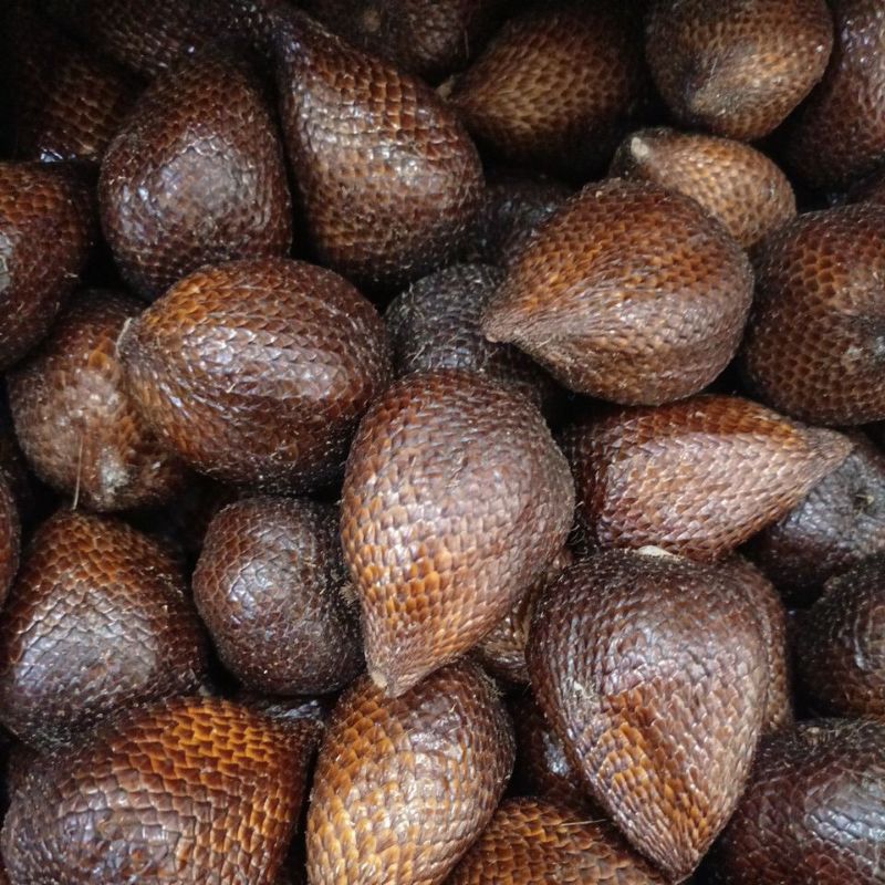 

buah salak pondoh 1kg