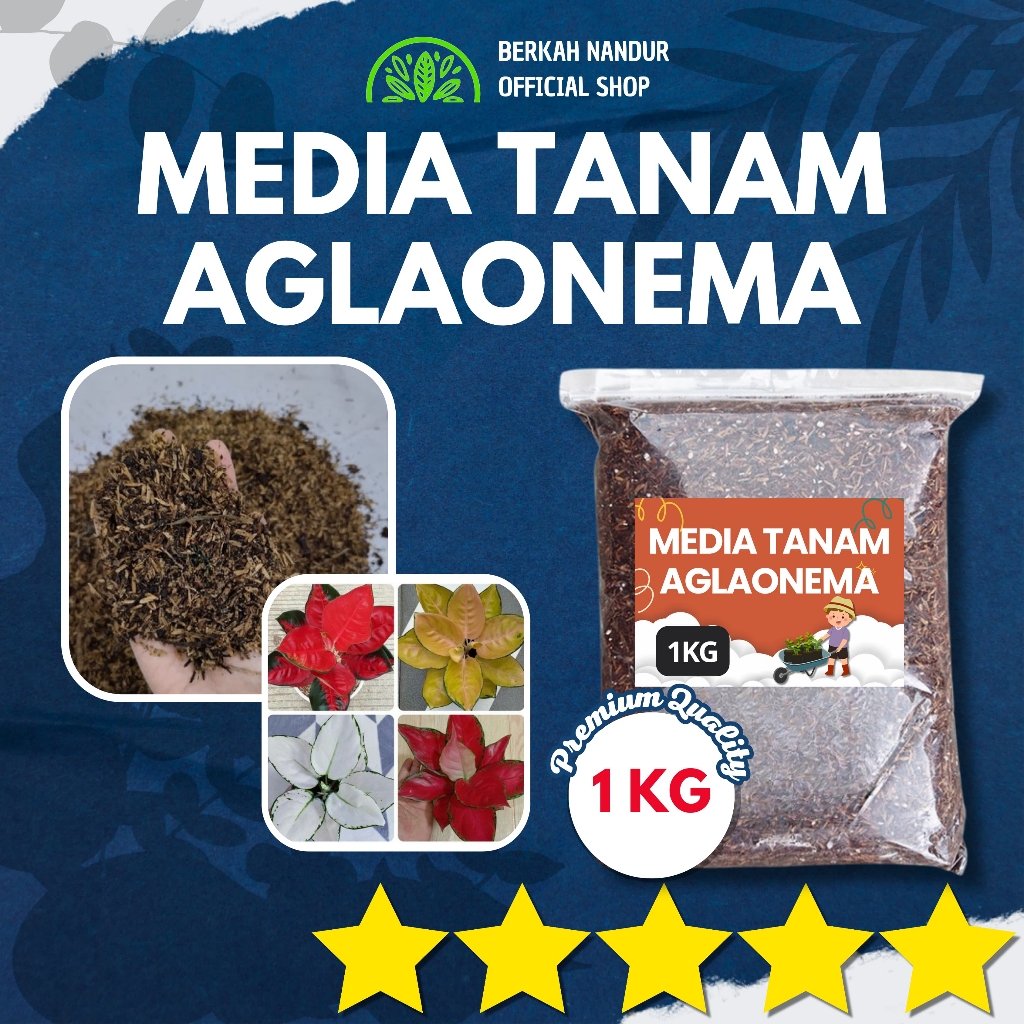 Media Tanam Aglaonema 1 kg Media Tanam Aglonema