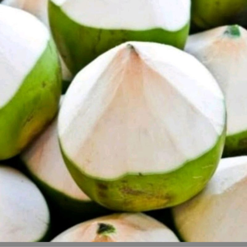 

Kelapa Muda Kupas Termurah