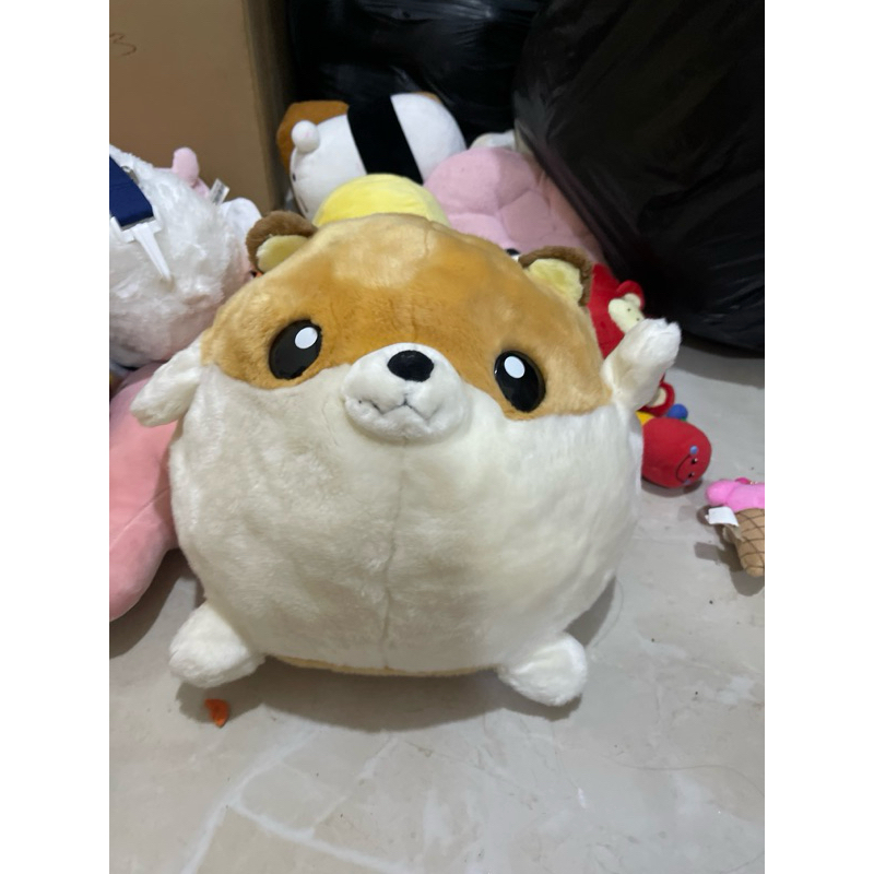 Boneka shiba gembul