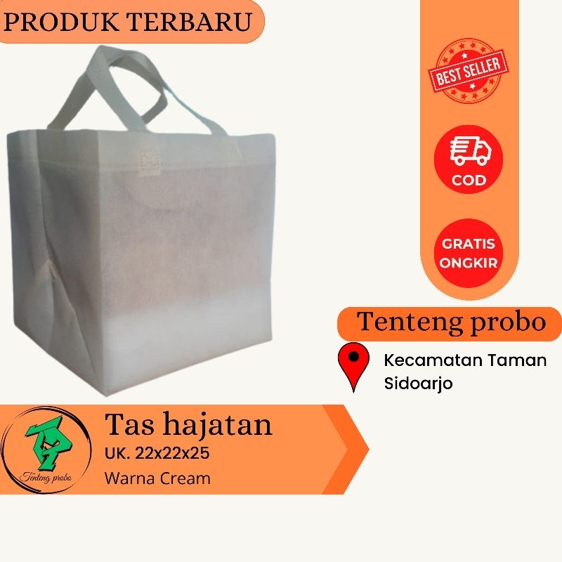 

per ball (60 pcs) Goodie bag tas hajatan uk 22x22xtinggi25/tas serbaguna/tas sepunbond/tas hajatan/goodiebag/tas tenteng