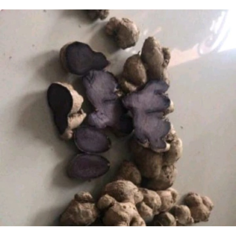 

kunyit hitam original/umbi rimpang asli