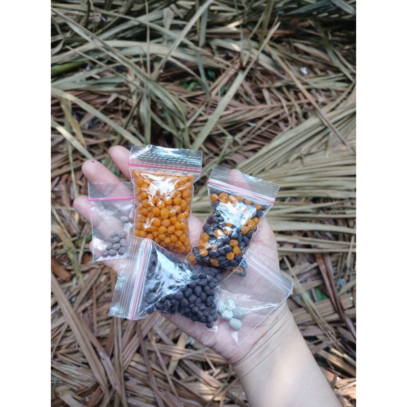 

(READY PAKET BUNDLING)1 bungkus jamu nene berajah betujuan + 10bji jamu barito + 1bji ratu kalimantan