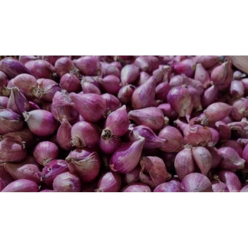 

Bawang merah brebes super