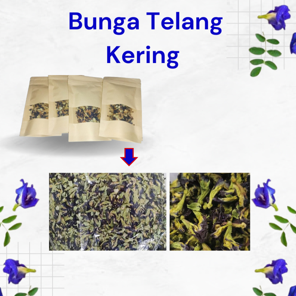 

Teh Bunga Telang / Butterfly Pea Tea