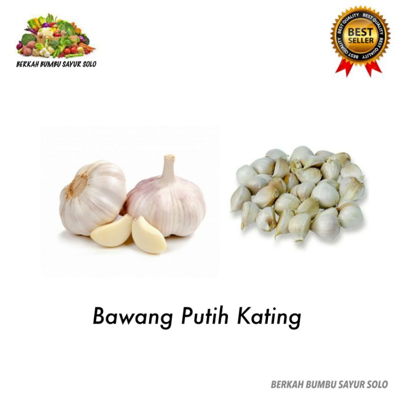 

Bawang Putih Kating Super