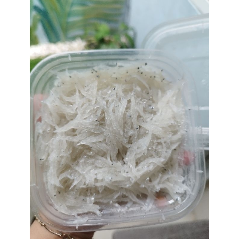

Ikan Teri Basah Premium/ Ikan Teri Nasi 250g/Cocok Untuk MPASI