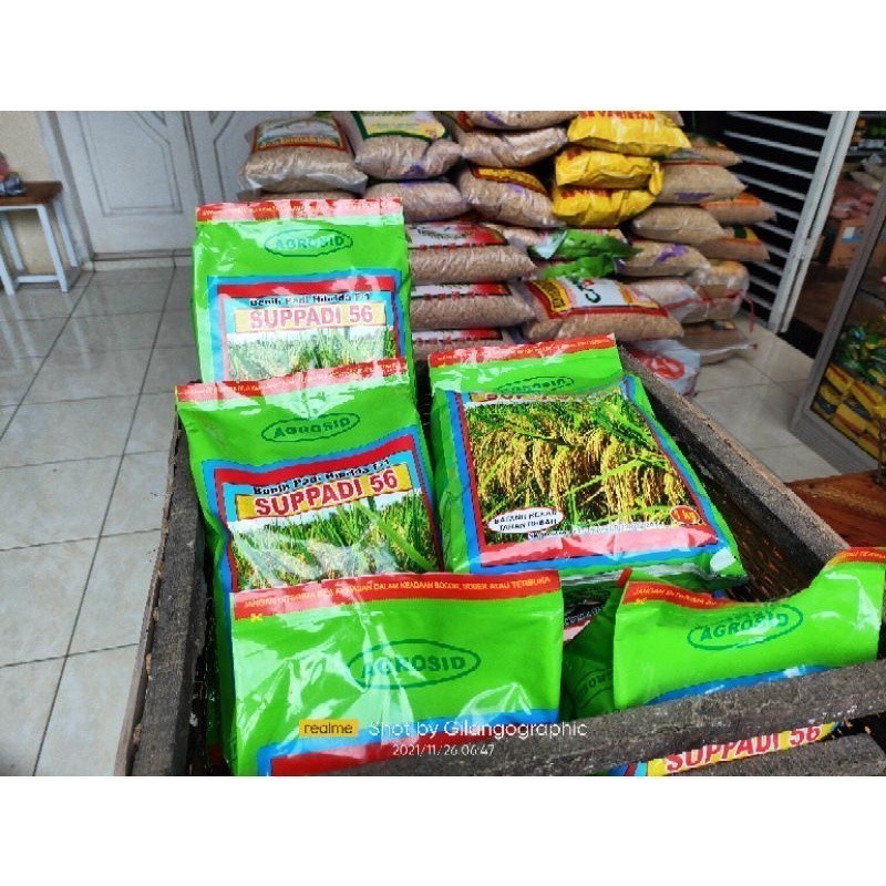 Promo Benih Padi Suppadi 56 Kemasan 1 kg