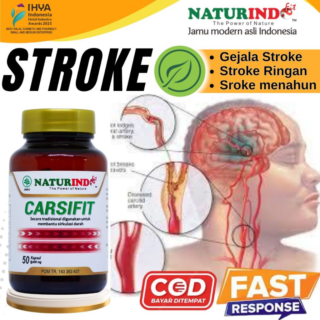 Obat Stroke Struk Berat Struk Ringan Herbal Obat Lumpuh carsifit naturindo paling ampuh