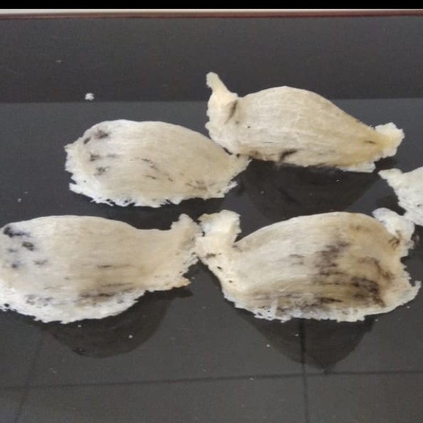 

Sarang Walet Petani Asli Ujung Gading – Super Grade Kering Natural (Kotor) 10gr