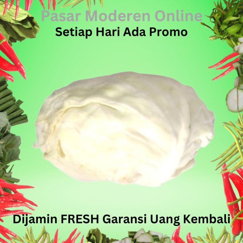 

KOL SAYUR SEGAR 500 GRAM