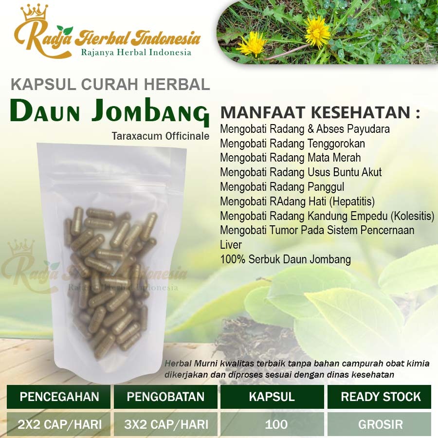 DAUN JOMBANG 100 Kapsul Herbal Abses Payudara Kutil Flek Hitam Jerawat