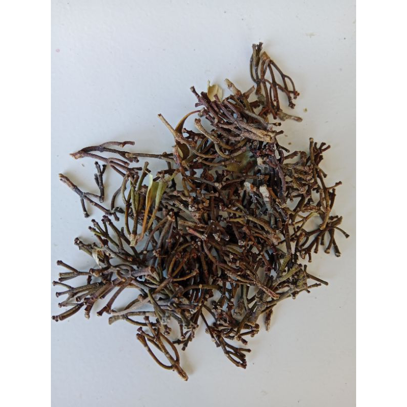 

Gagang Cengkeh Rempah - Kering