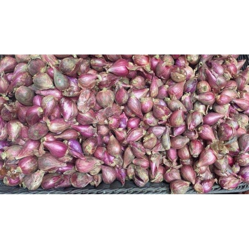 

Bawang Merah 100g, 250g, 500g, 1kg