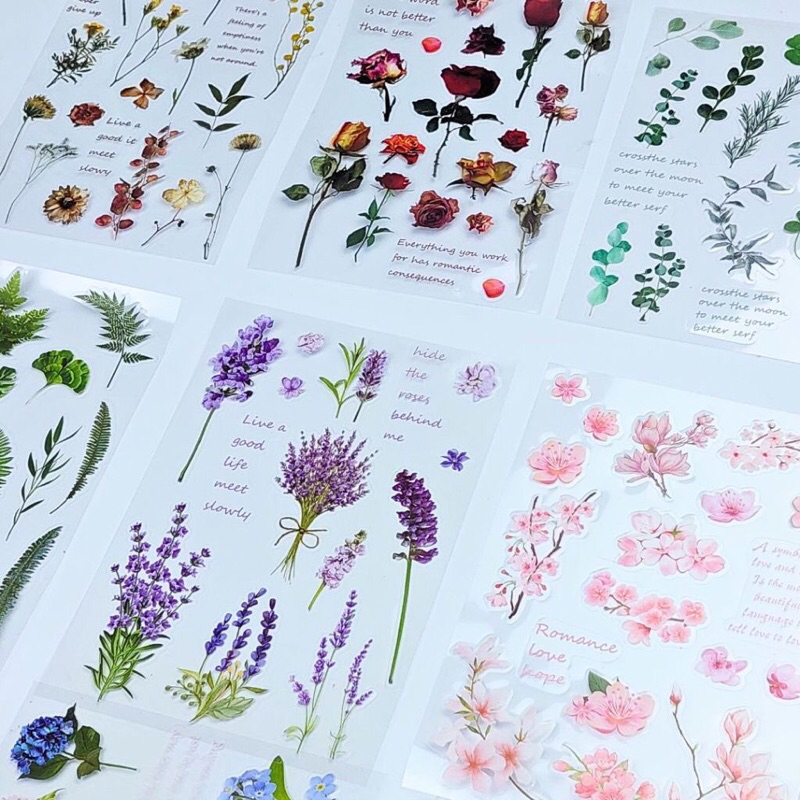 

THE SONG of nature stiker pvc transparan