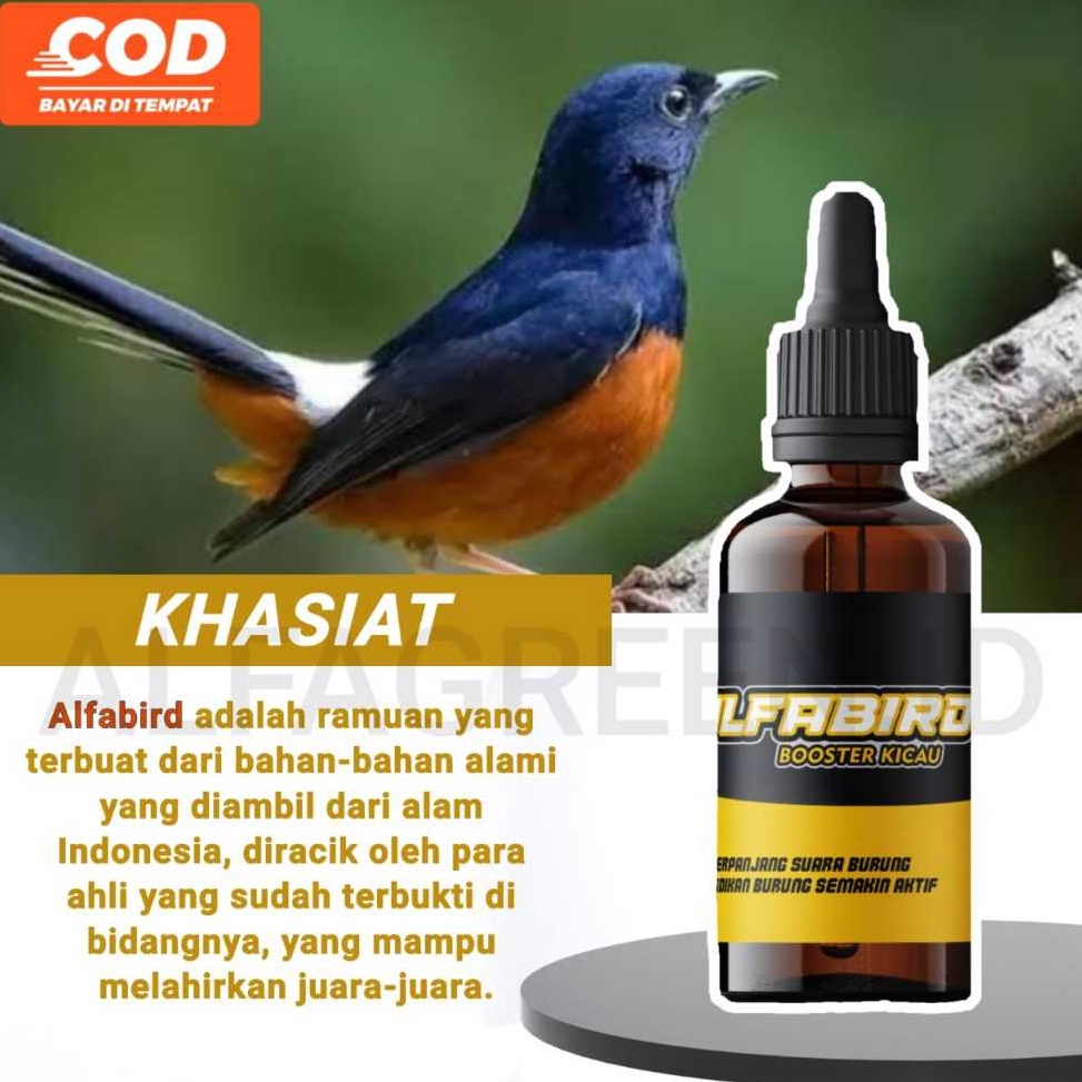 KODE U67E ALFABIRD Extreme Power Boster Burung Meningkatkan Mental Power Stamina Vitalitas Mental