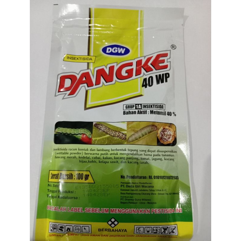 DANGKE 100 GRAM