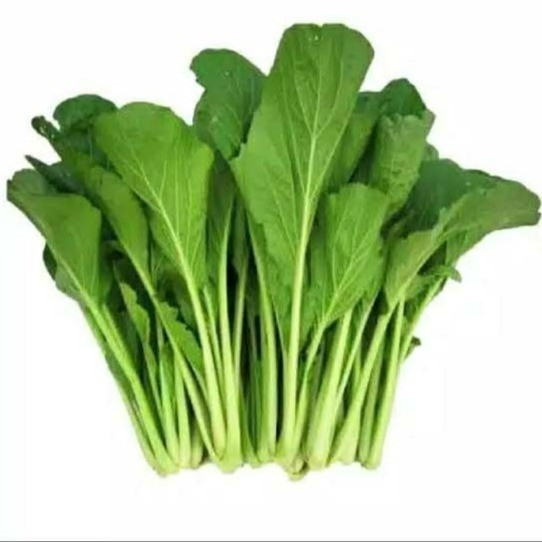 

SAYUR CAISIM 200GR /IKT