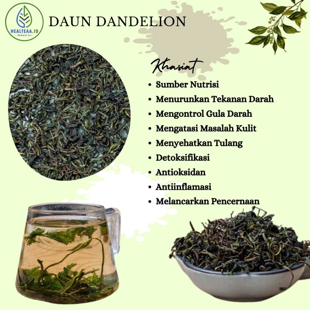 DAUN DANDELION/Taraxacum officinale/DANDELION DAUN/DANDELION KERING/DAUN DANDELION KERING/PUGONGYING