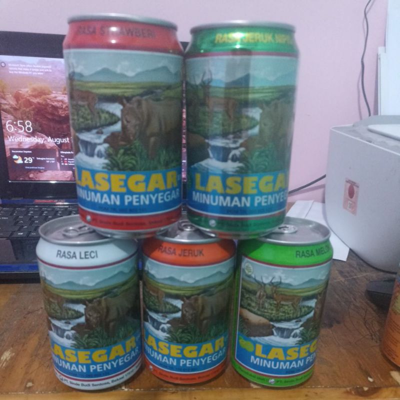 

lasegar buah kaleng 320 ml