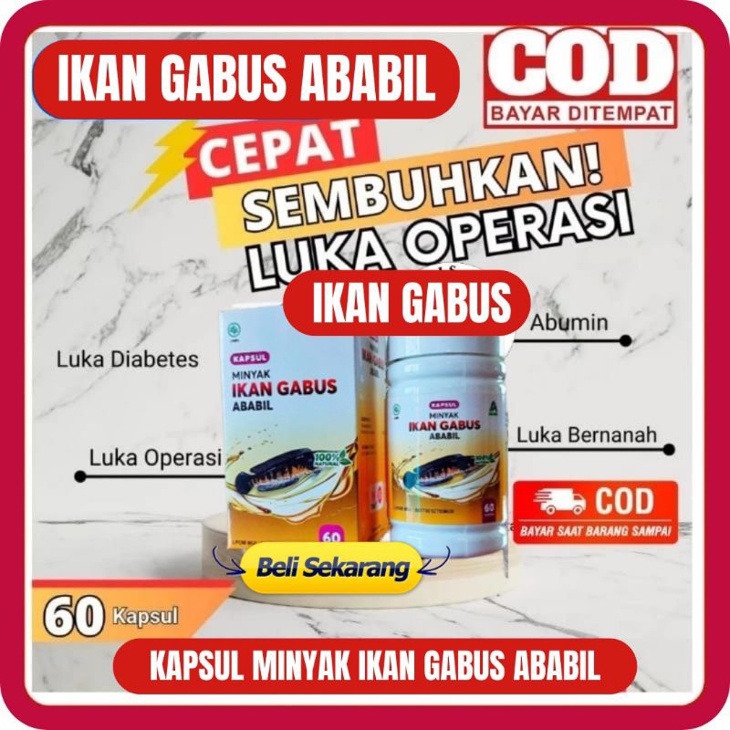 MINYAK IKAN GABUS ABABIL ISI 60 - KAPSUL MINYAK IKAN GABUS ABABIL 100% Minyak Ikan Gabus Ekstrak Alb