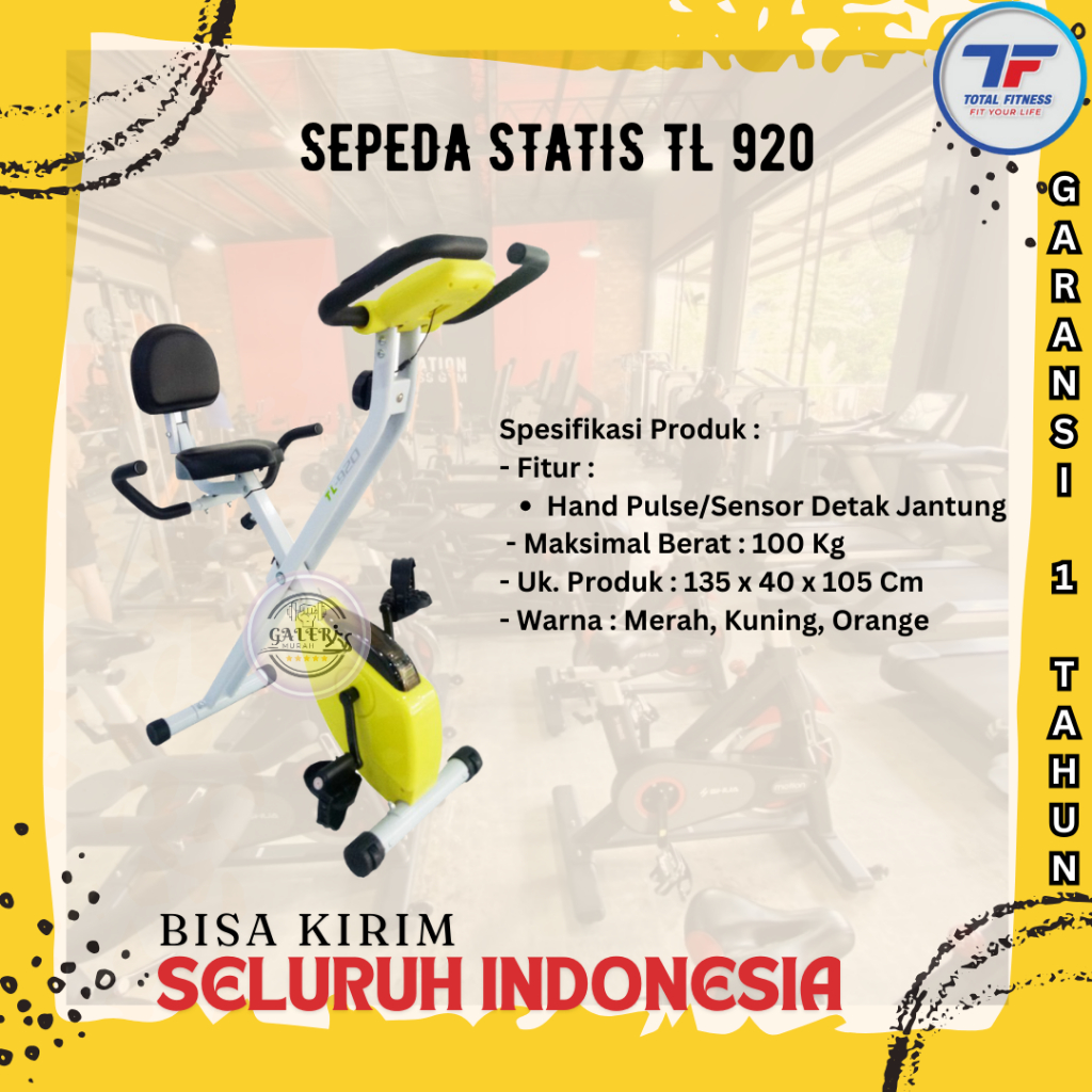 X Bike Sandaran TL-920 | Sepeda Statis Magnetik Xbike TL920