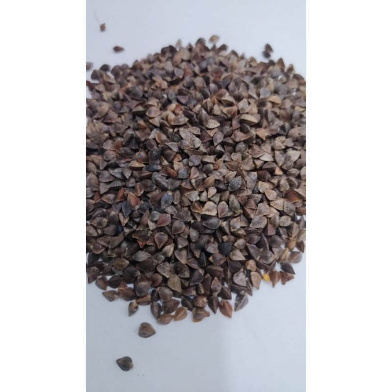 

10 G 50 GR 100 GRAM 荞麦子 QIAO MAI ZI FAGOPYRUM TATARICUM