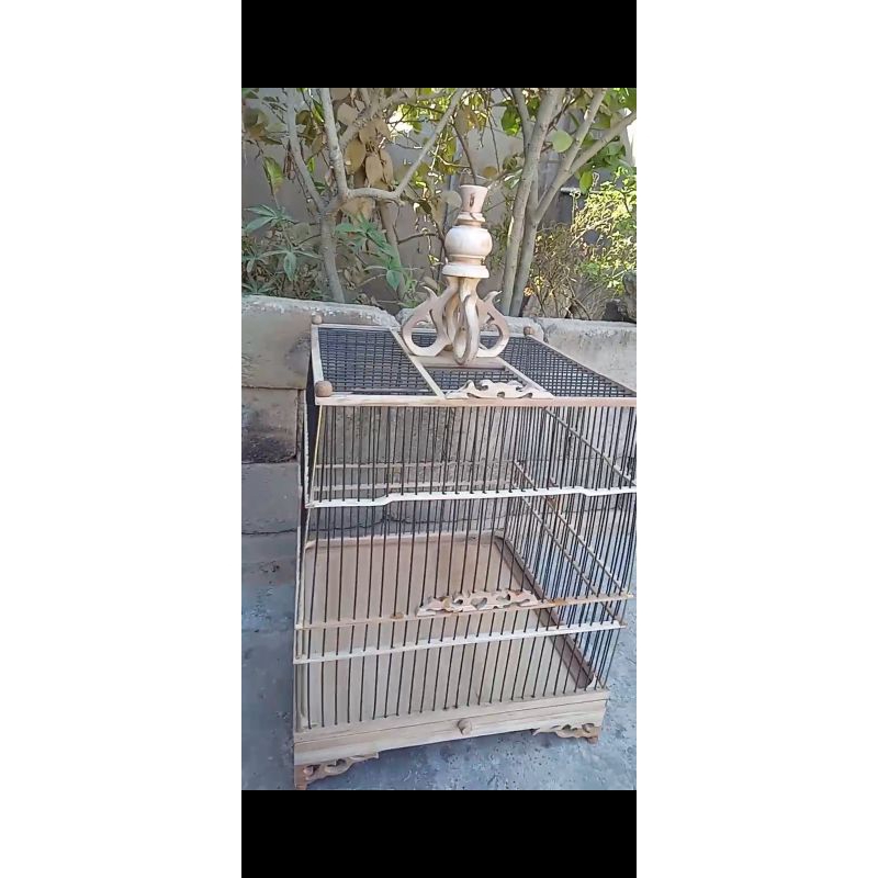 kandang jati cungkok anis kembang dll