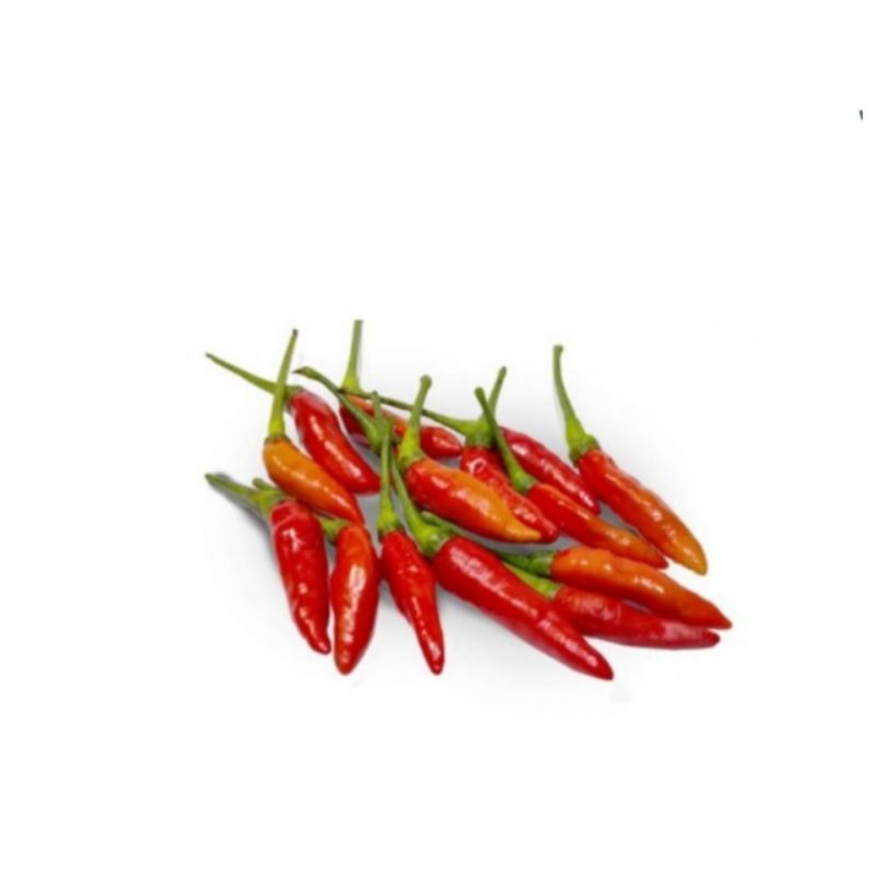 

cabe rawit merah fresh