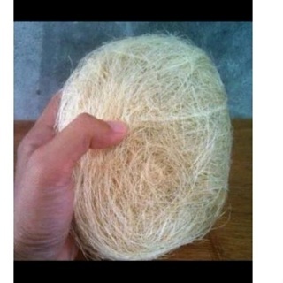 Serat Nanas Sarang Burung Kenari