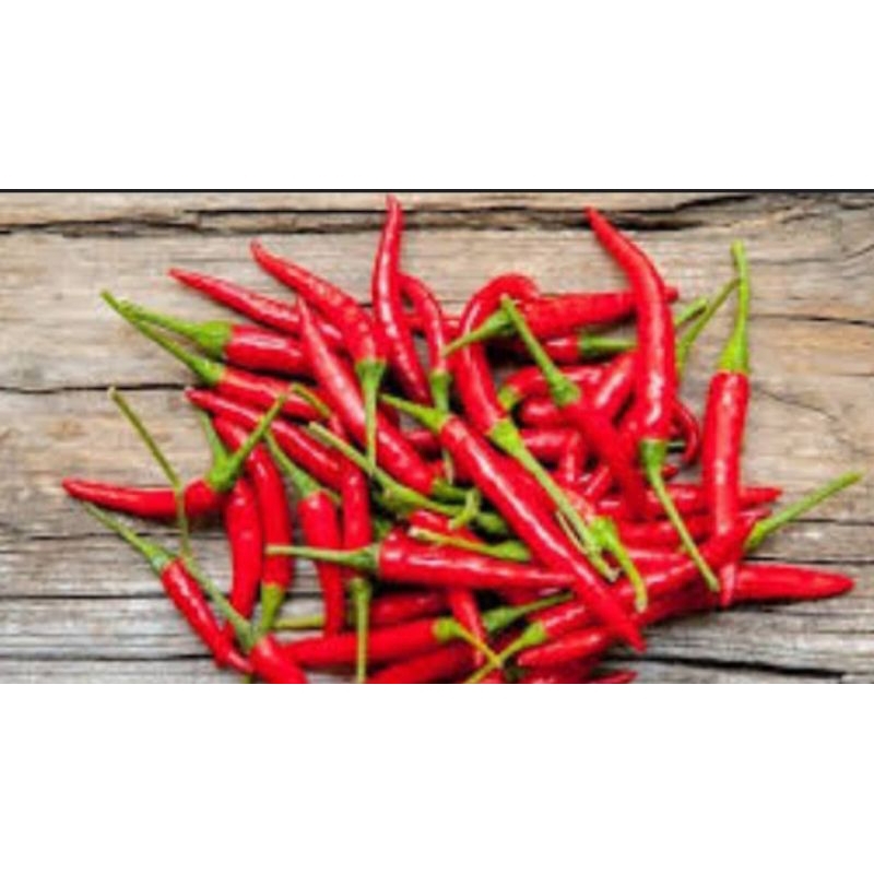 

cabai merah besar | cabai merah segar murah | cabr merah besar freesh