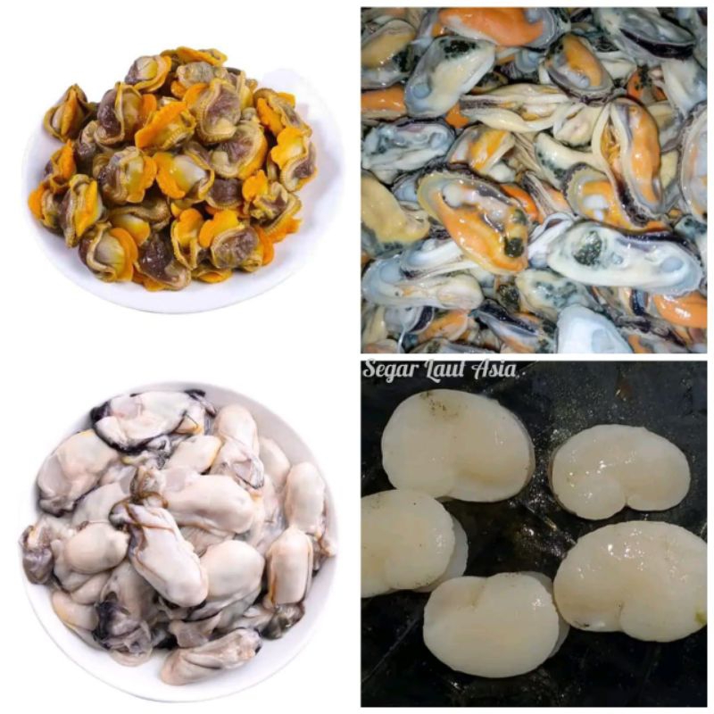 

Aneka Kerang Kupas Segar Daging Kerang kupas All Variant Seafood Hasil Laut Segar 1Kg