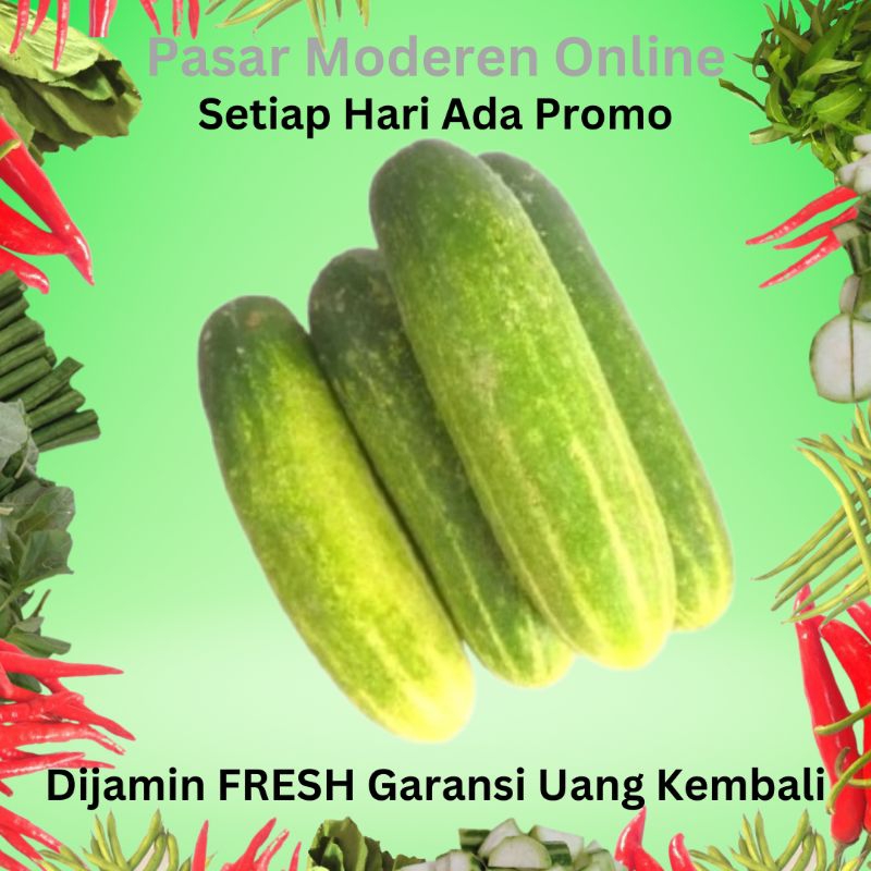 

TIMUN/MENTIMUN SAYUR SEGAR 250 GRAM DAN 500 GRAM