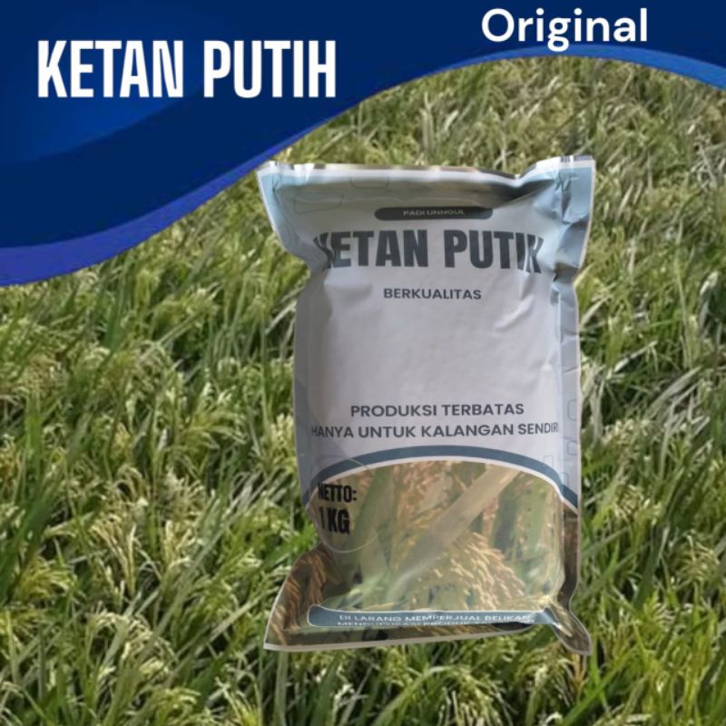 Benih padi bibit padi KETAN Grendel   ketan PUTIH premium Kemasan 1kg