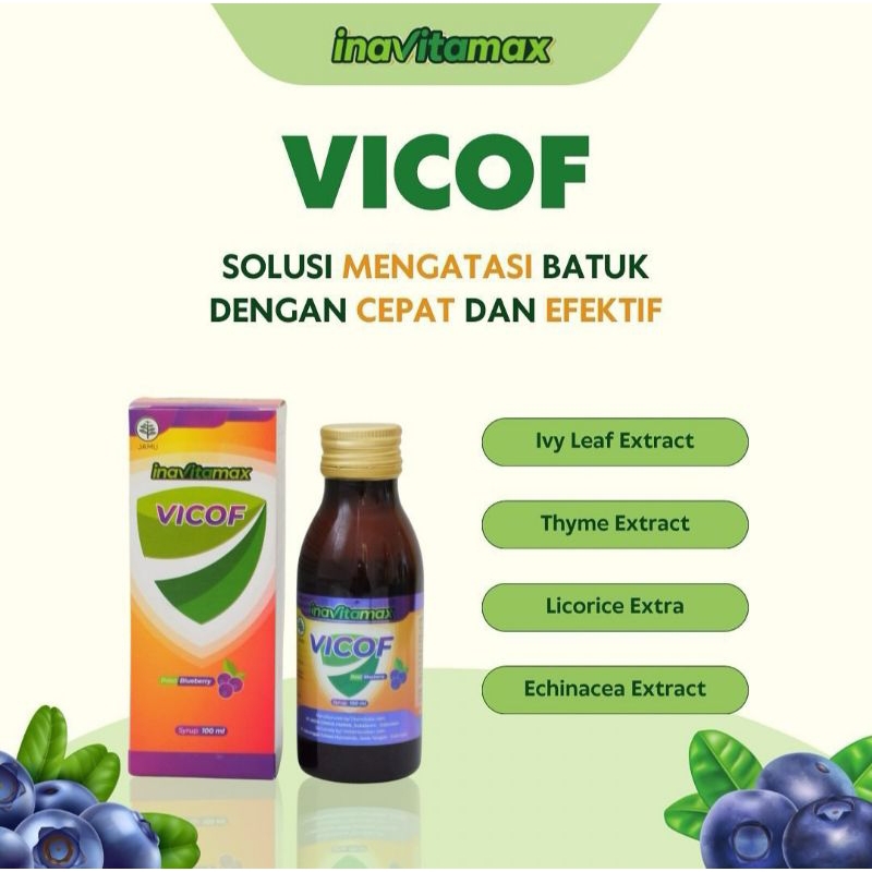 Inavitamax Vicof Blueberry Sirup 100ml