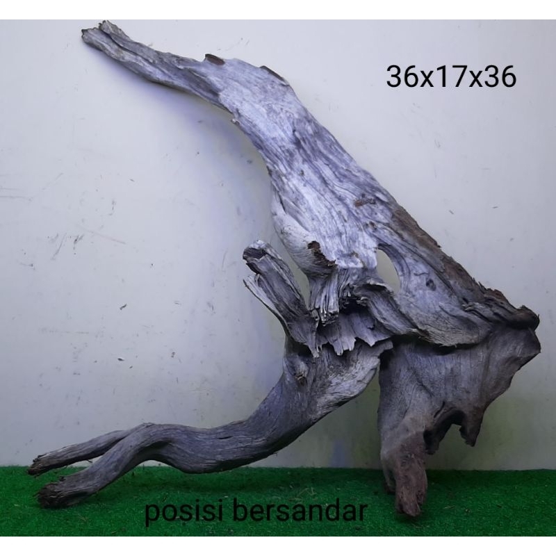 Bonggol Kayu Santigi Laut - Kayu Tenggelam - Aquascape - Aquarium - Taman - 36x17x36 B3
