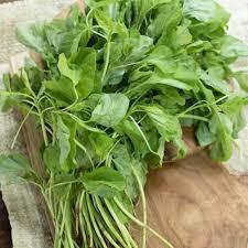 

Bayam Segar Organik | Sayuran Hijau Berkualitas | Harga Per Ikat